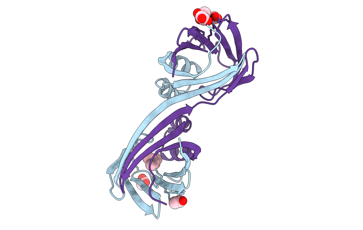 4ZR2 image