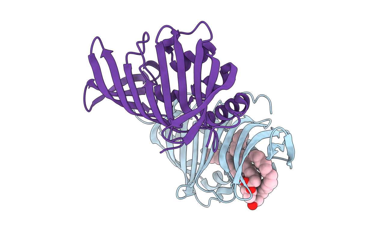 4ZRA image