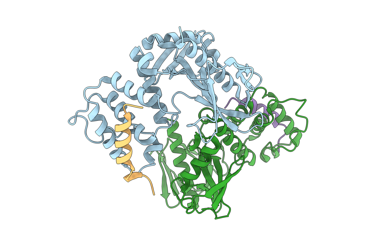4ZRI image