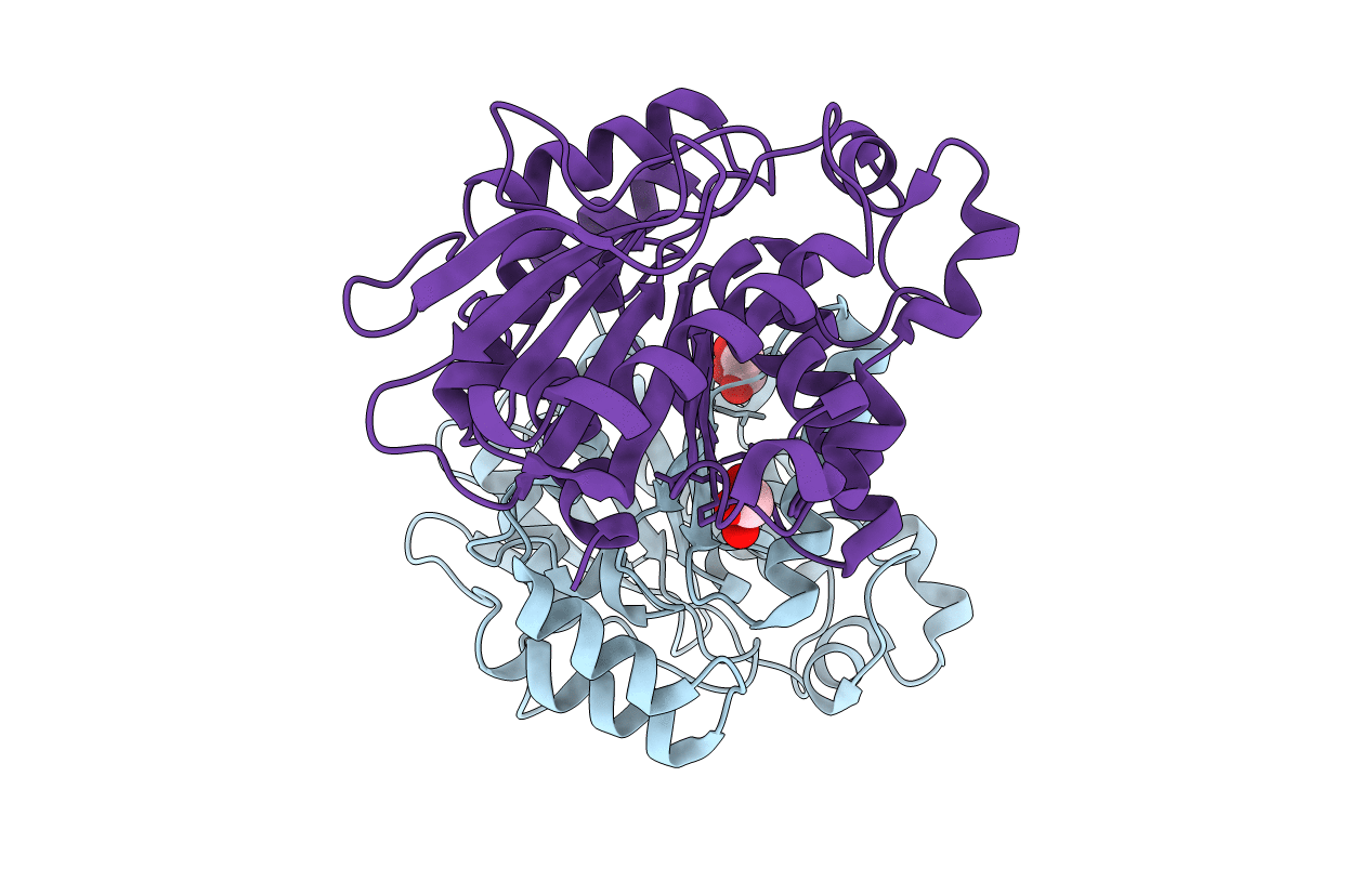 4ZRS image