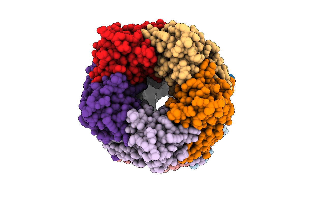 4ZRU image