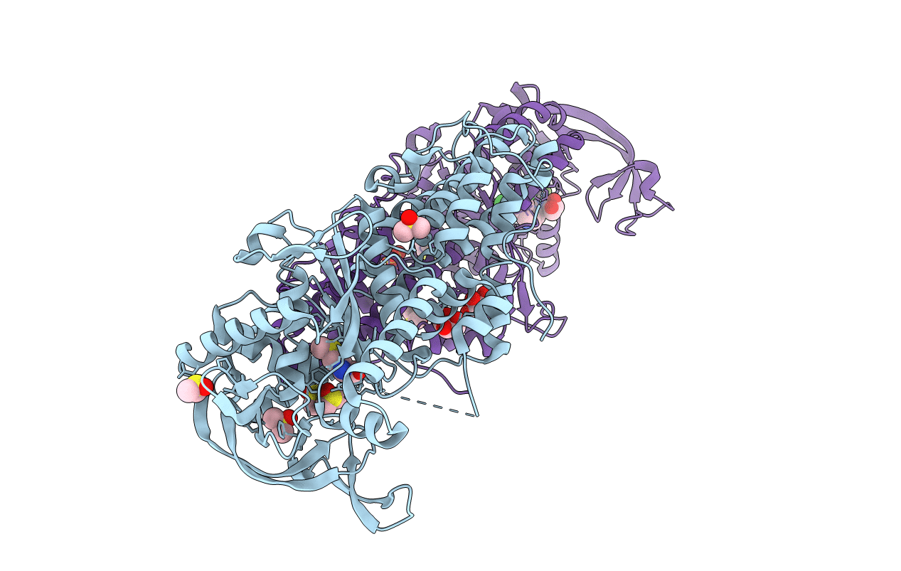 4ZT3 image