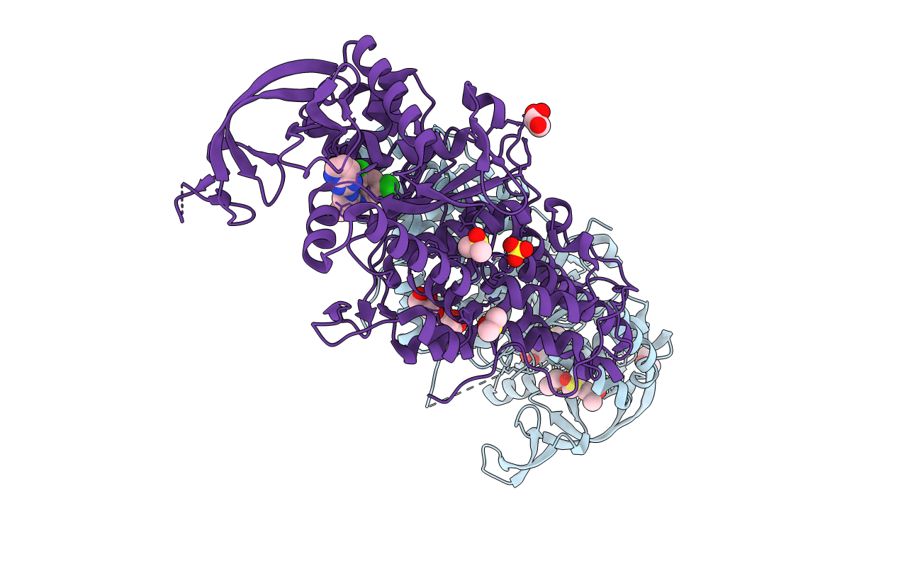 4ZT5 image