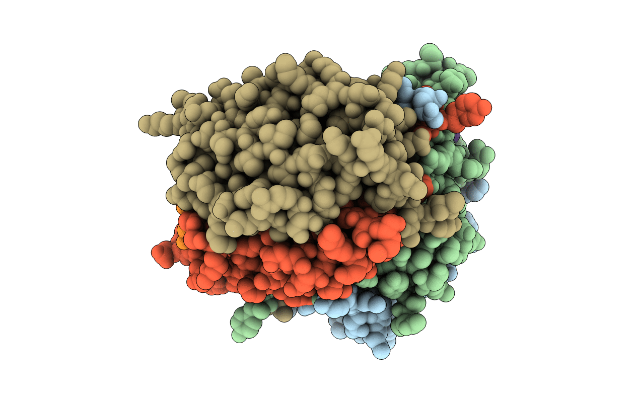 4ZVU image