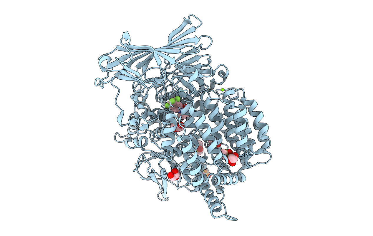 4ZX4 image