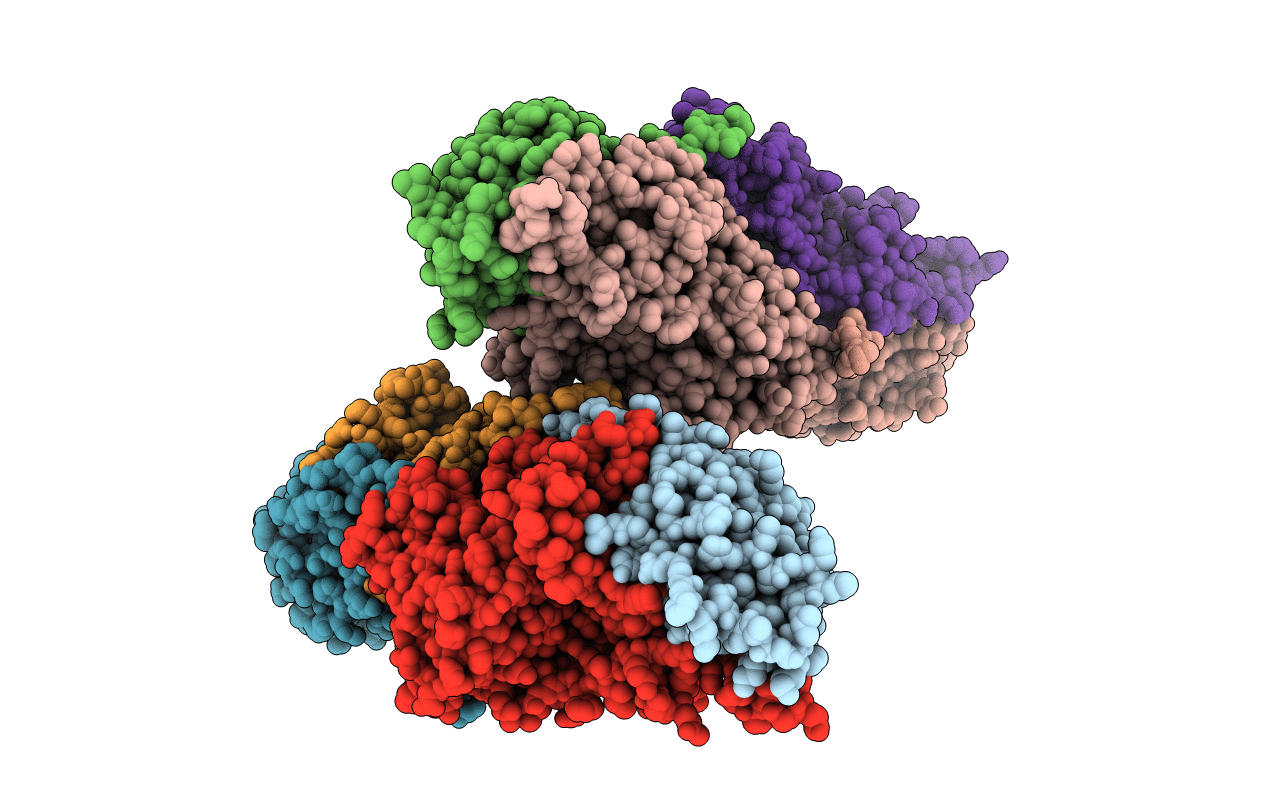 4ZXA image