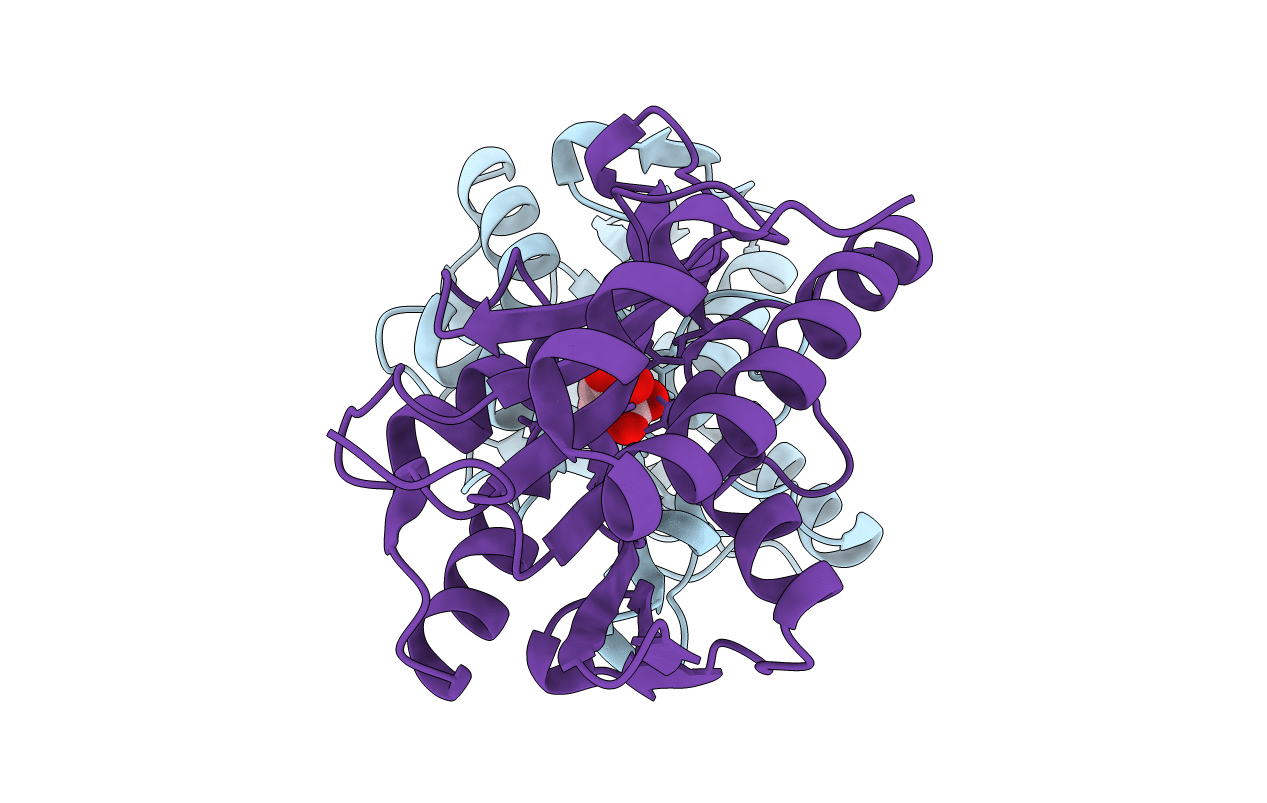 4ZXP image