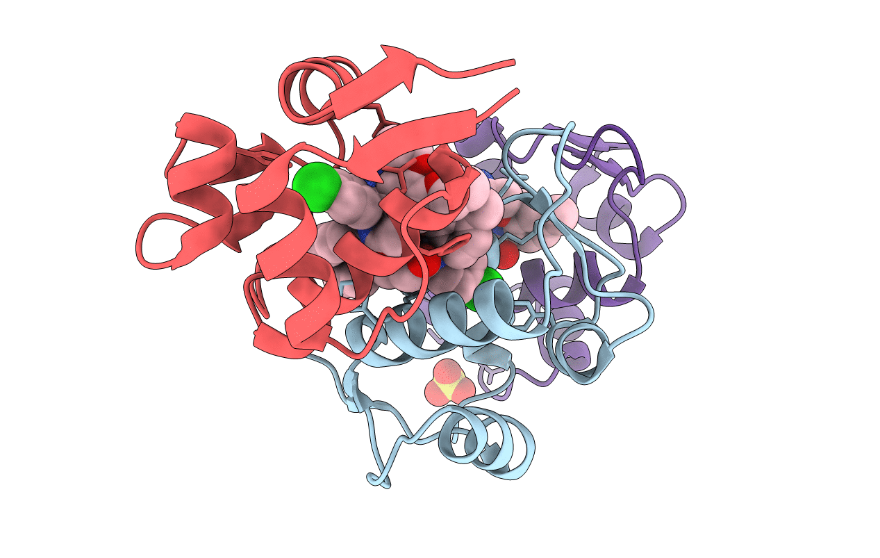 4ZYC image