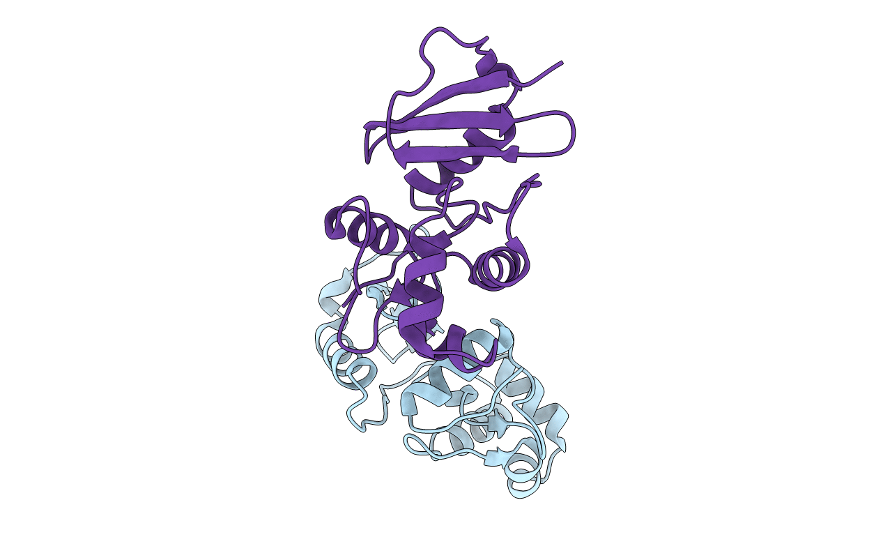 4ZYG image
