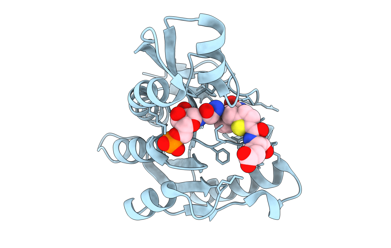 4ZYV image