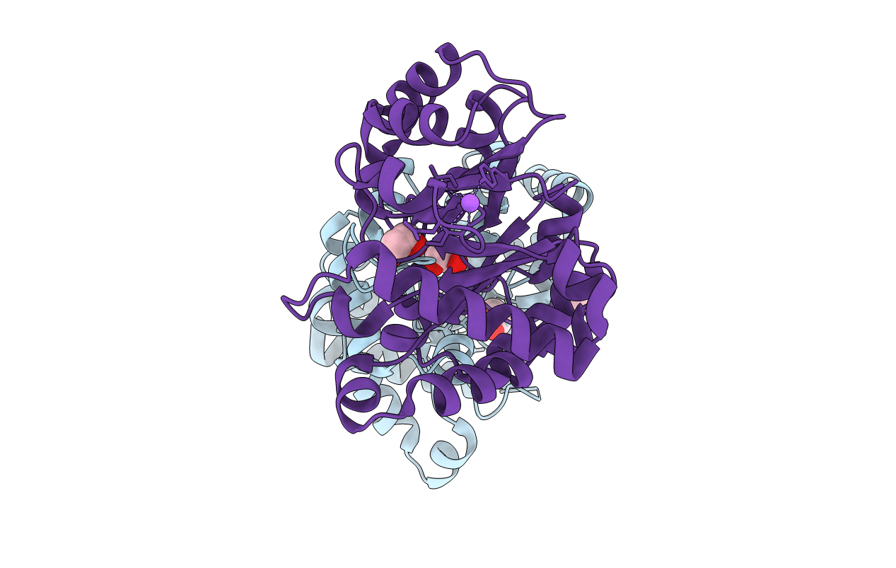 4ZZ9 image