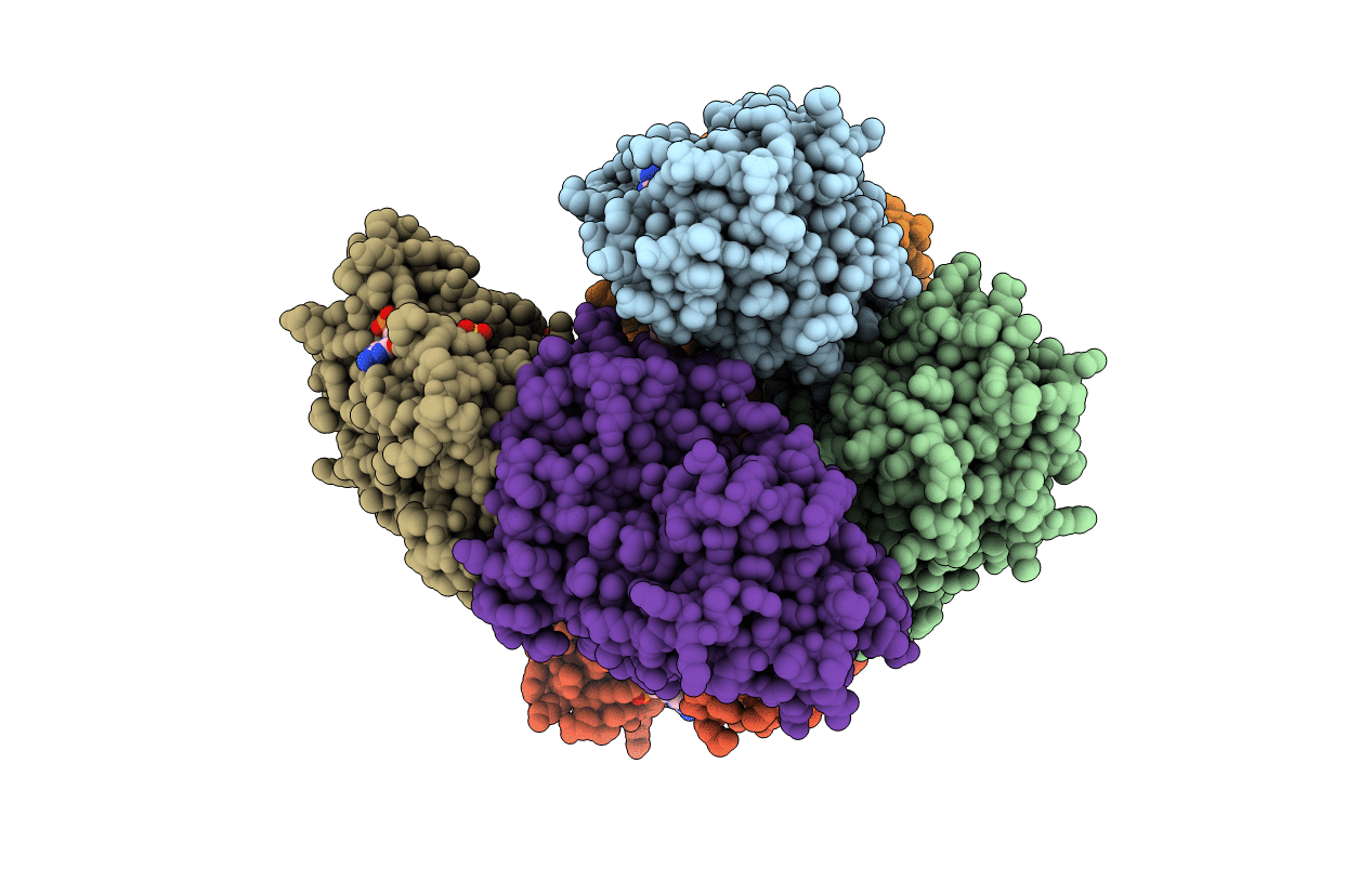 5A02 image