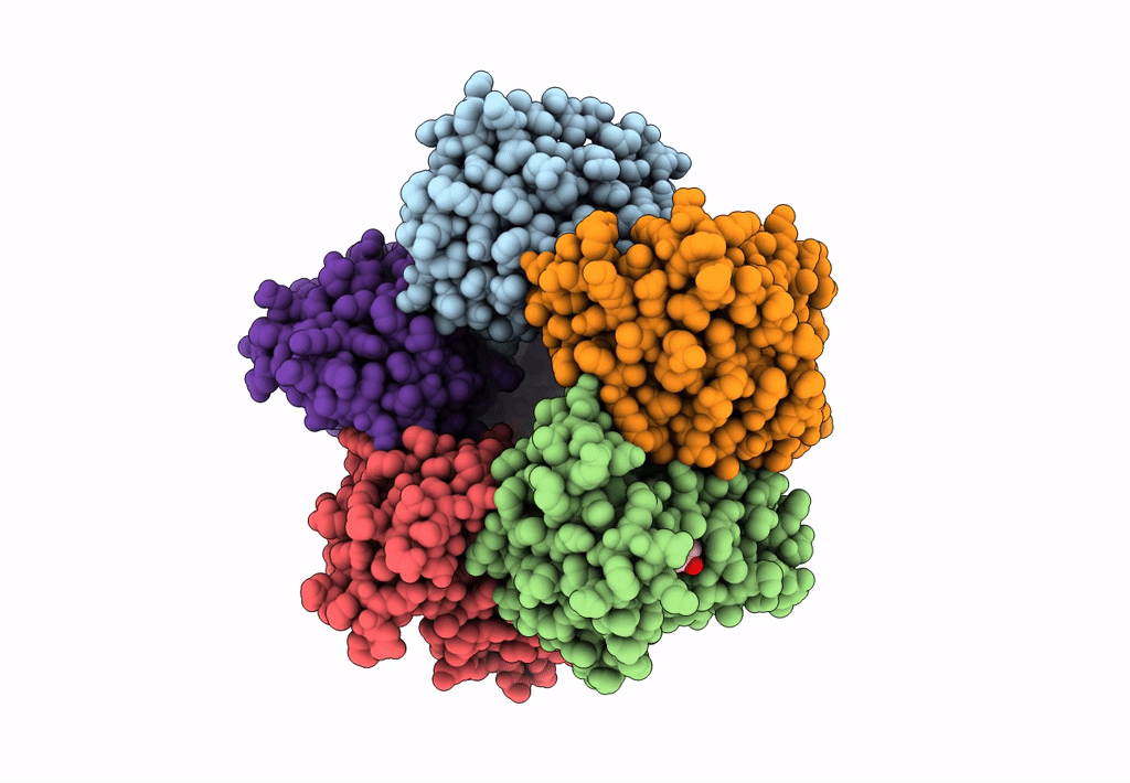 5A12 image