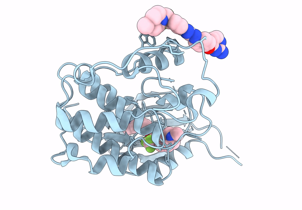 5A14 image