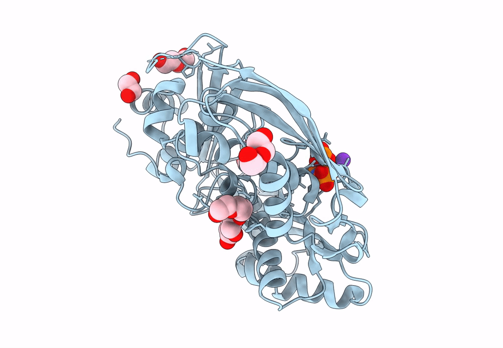 5A19 image