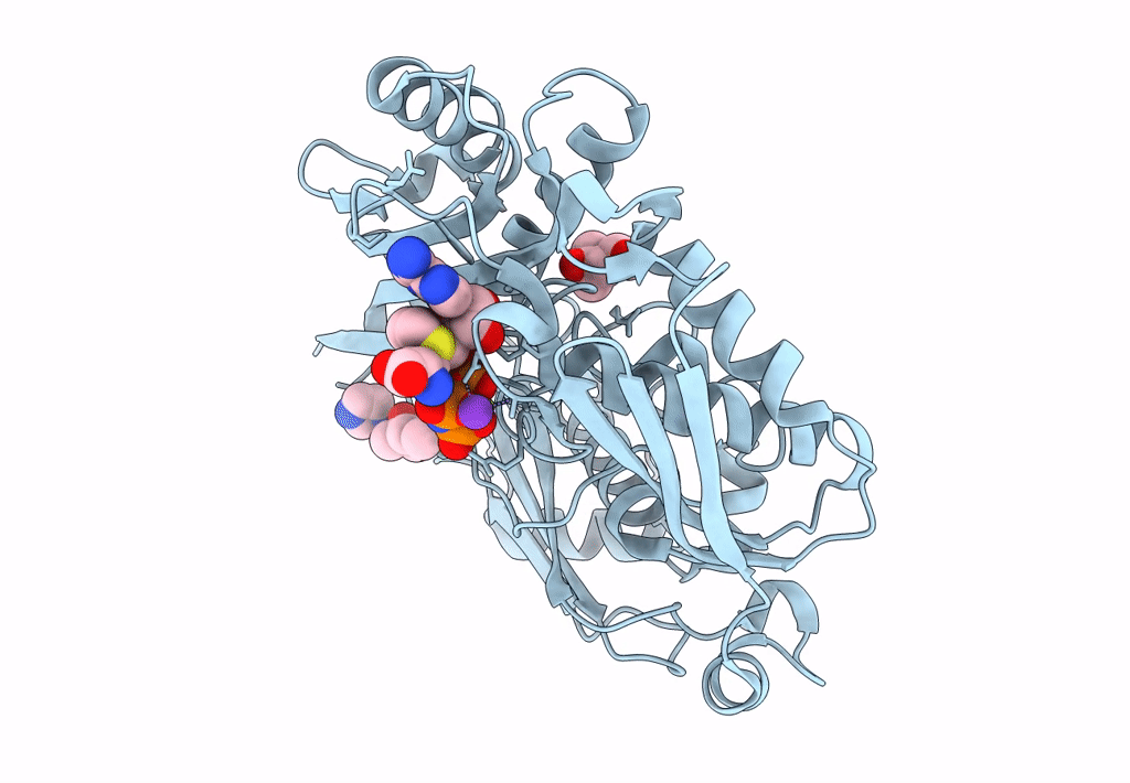 5A1G image