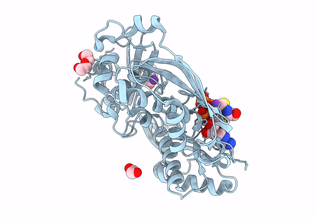 5A1I image