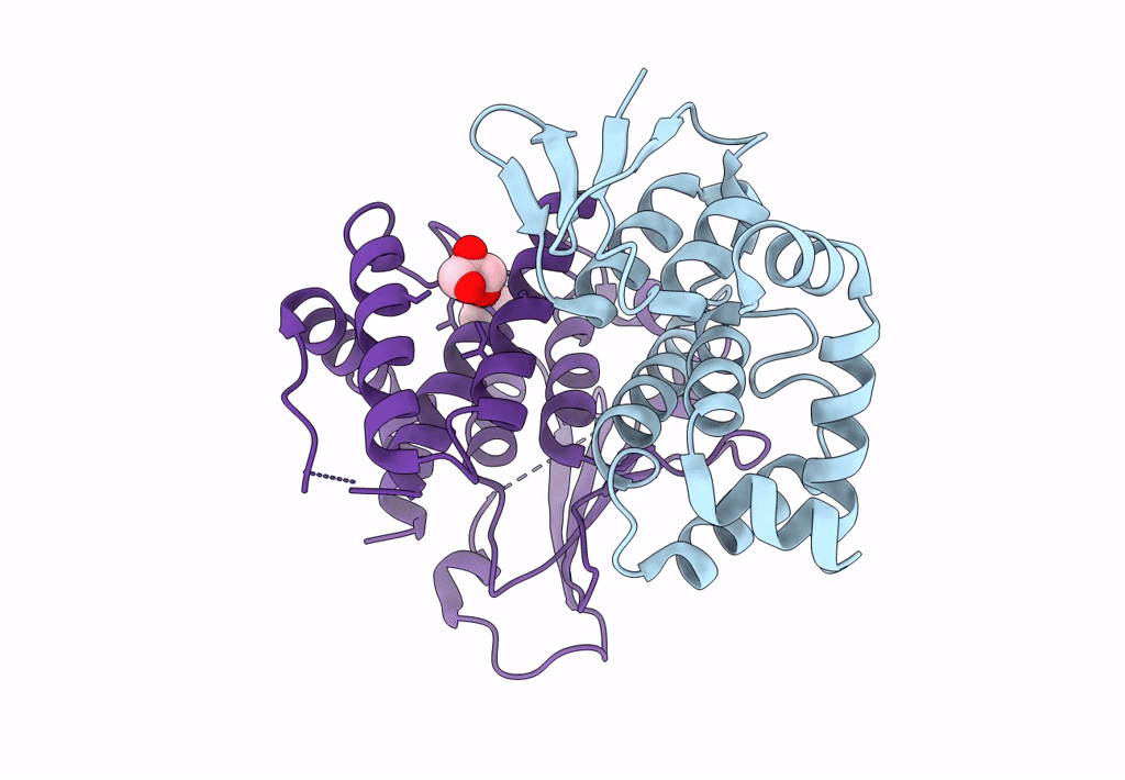 5A1N image