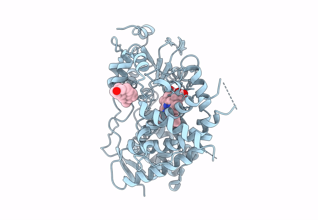 5A1R image