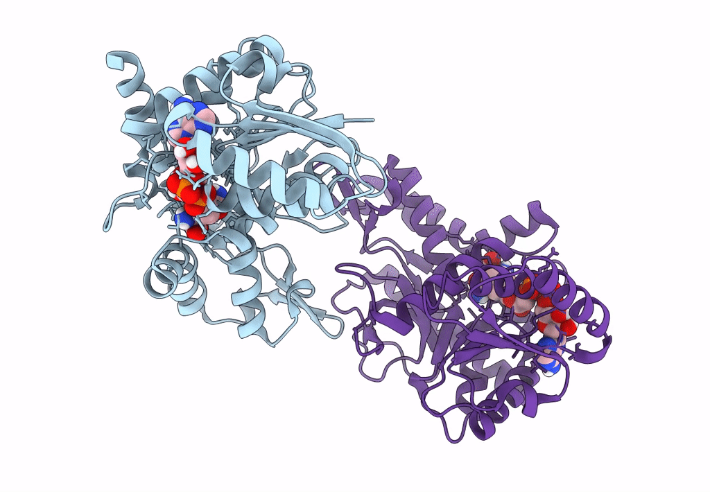 5A1T image
