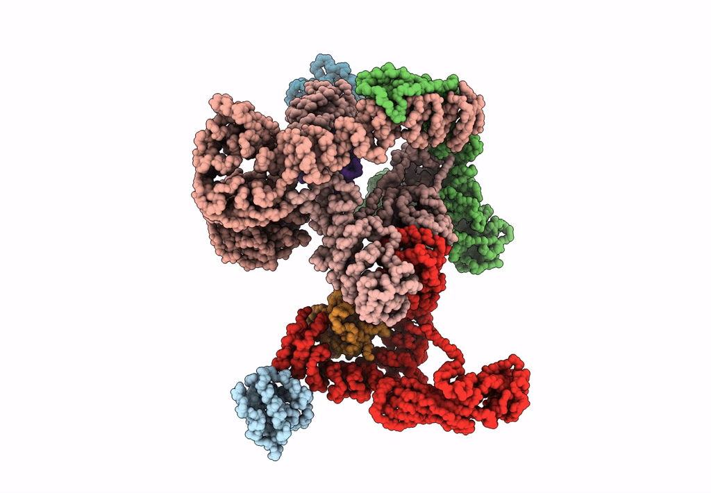 5A1U image