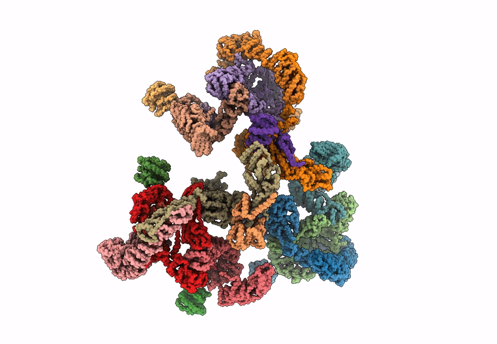 5A1V image