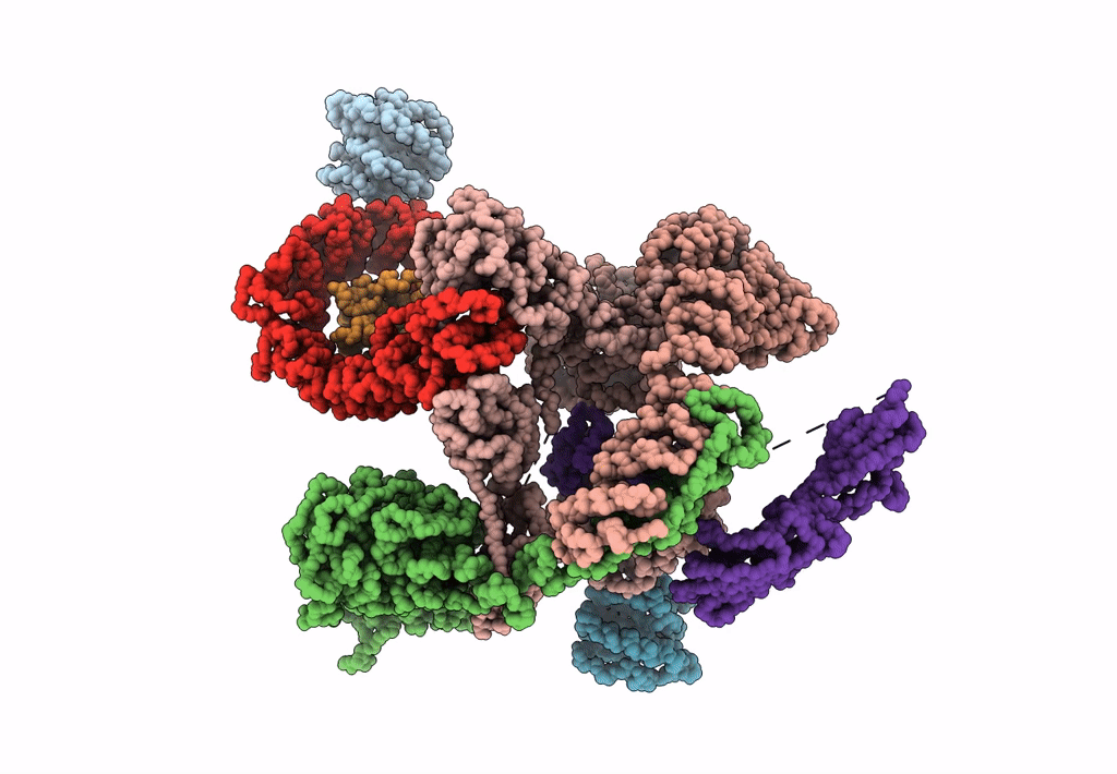5A1W image