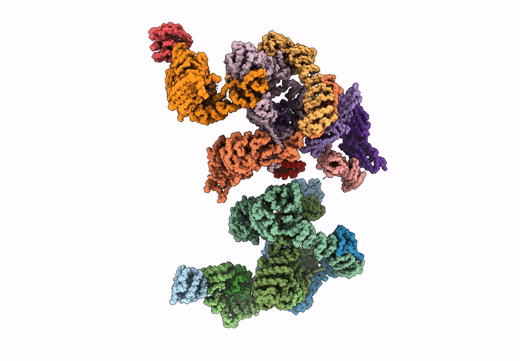 5A1X image