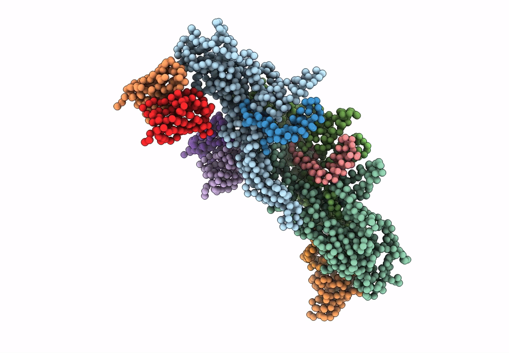 5A1Z image