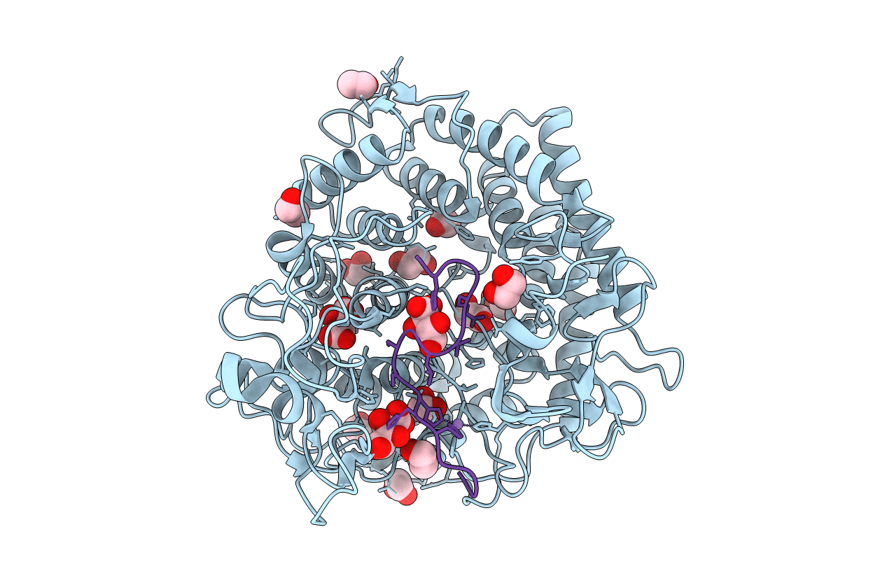 5A29 image