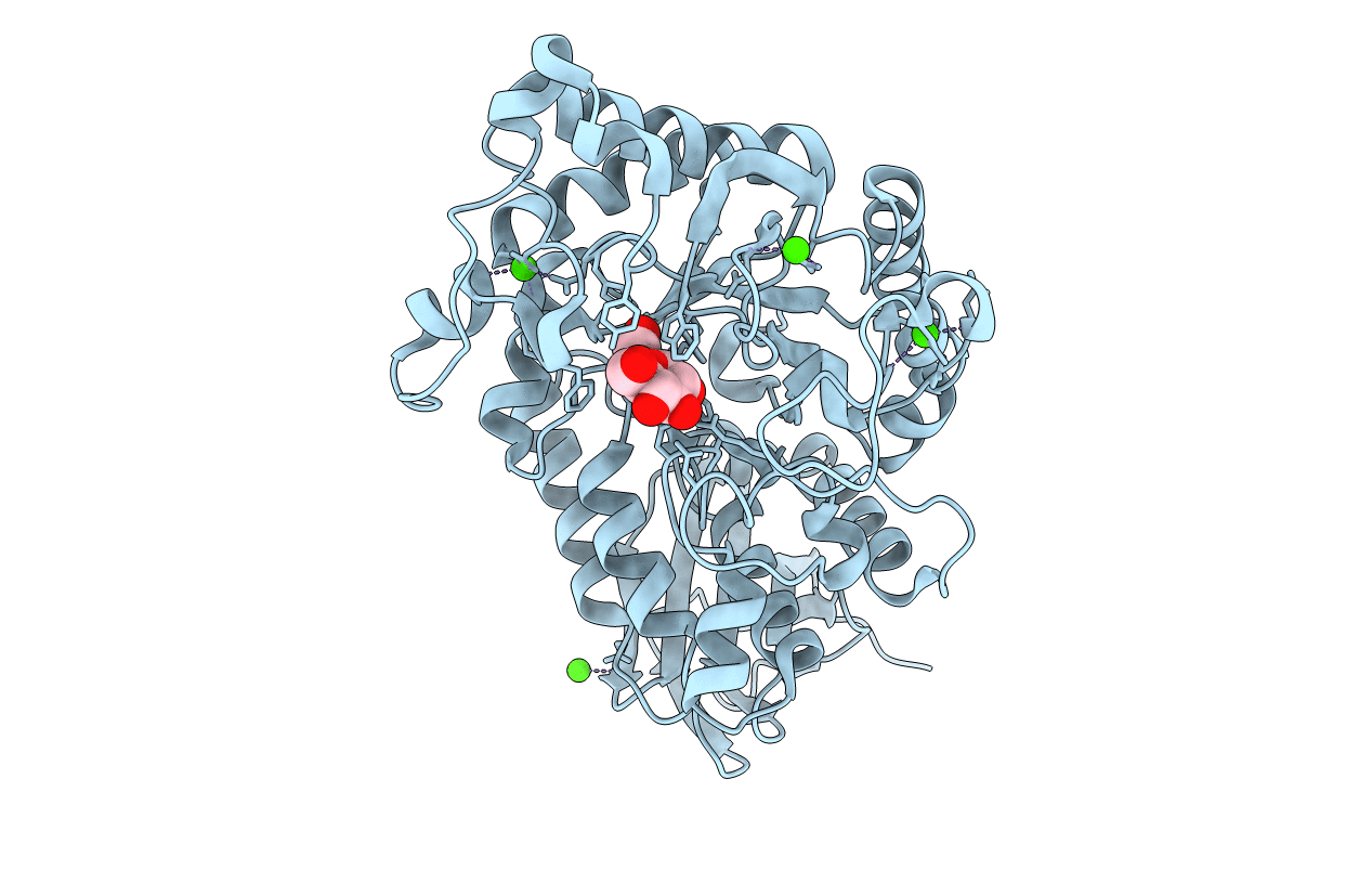 5A2B image