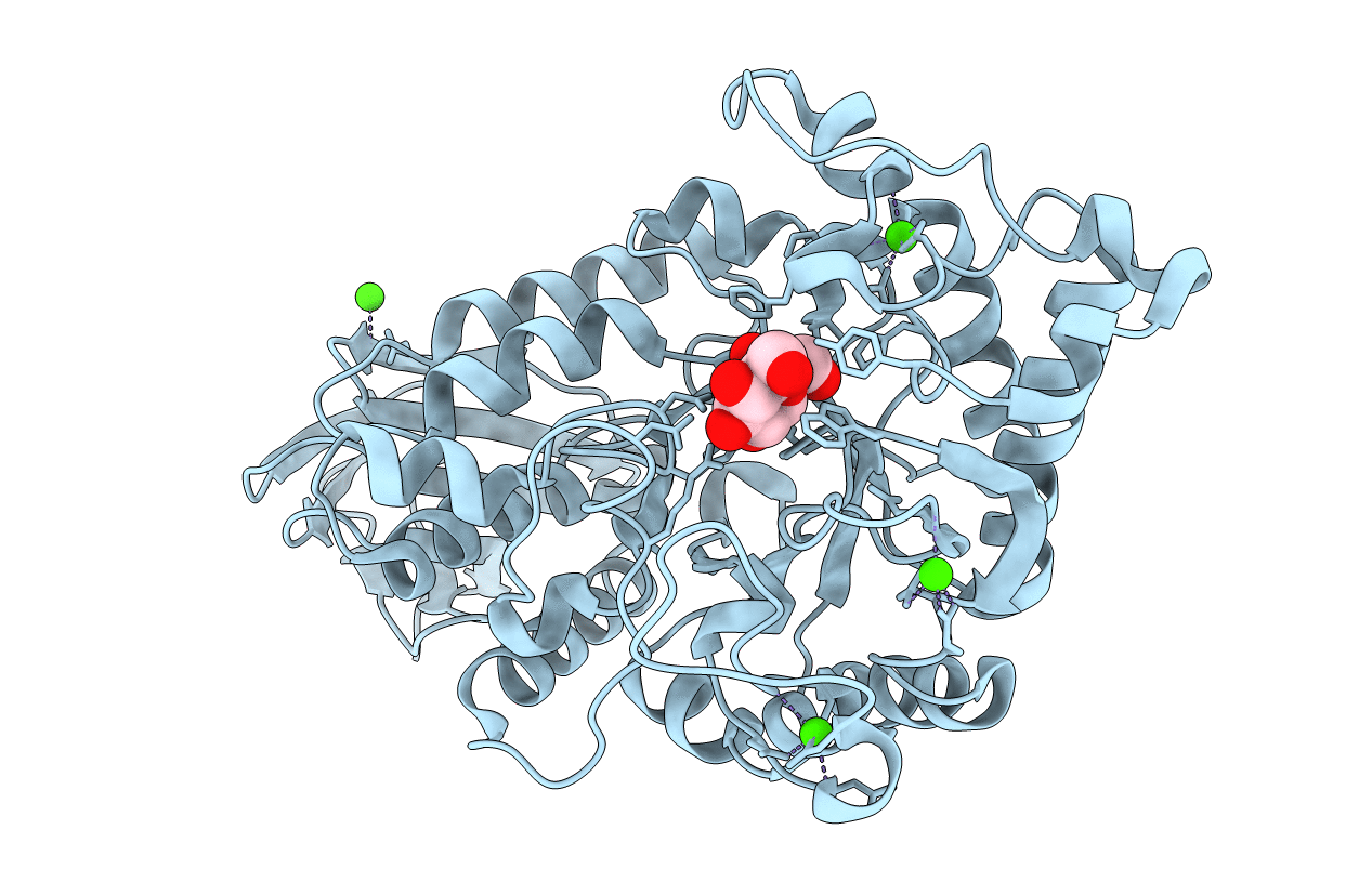 5A2C image