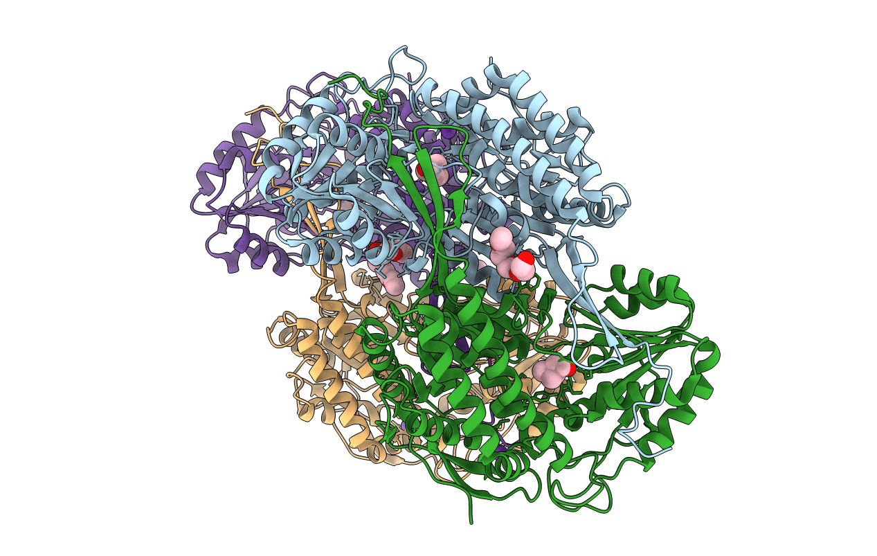 5A2D image