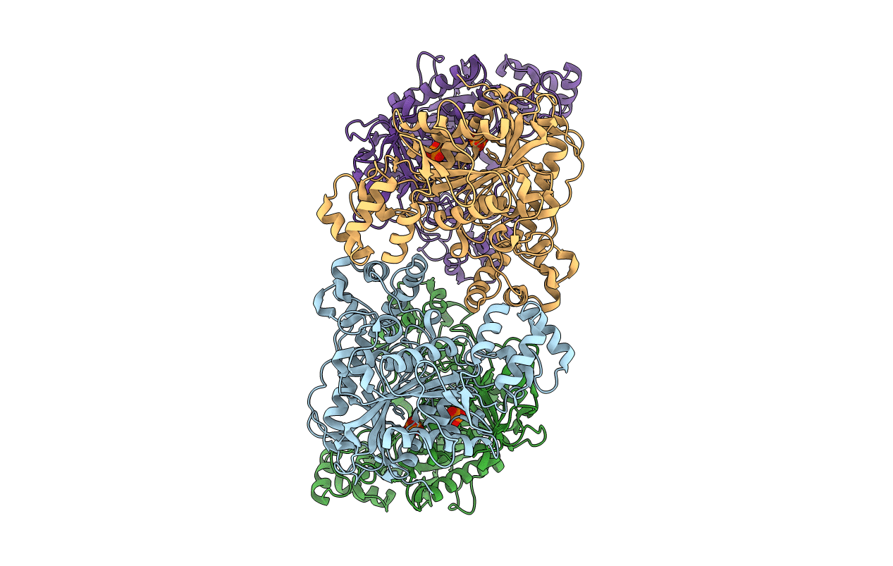 5A2G image