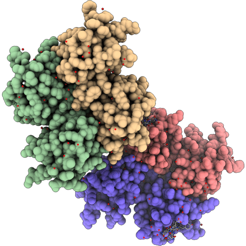 5A2P image