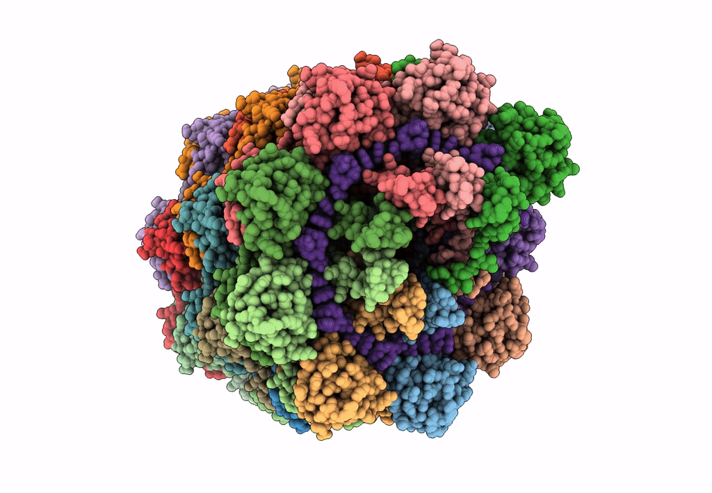 5A2T image