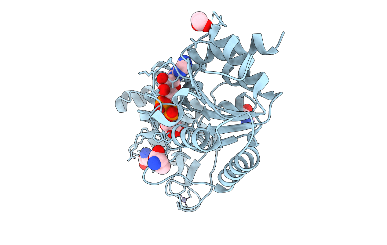 5A3B image