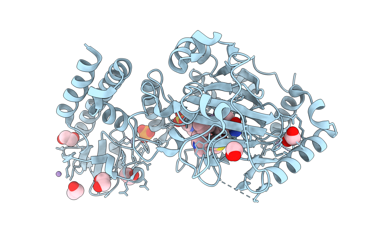 5A3N image