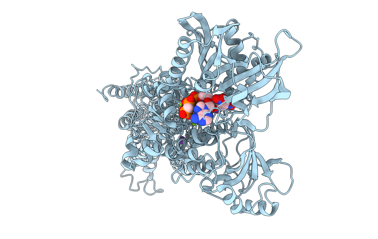 5A3R image