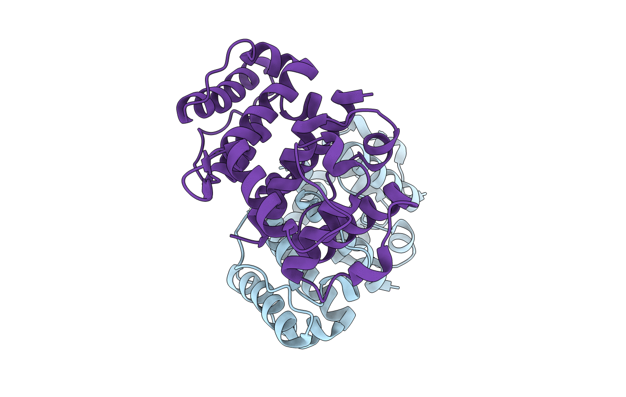 5A4B image