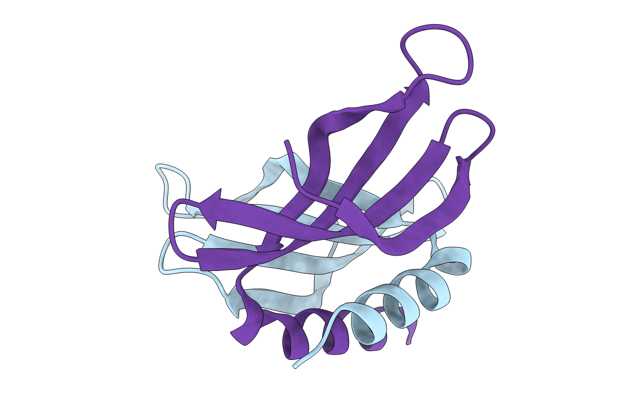 5A4N image