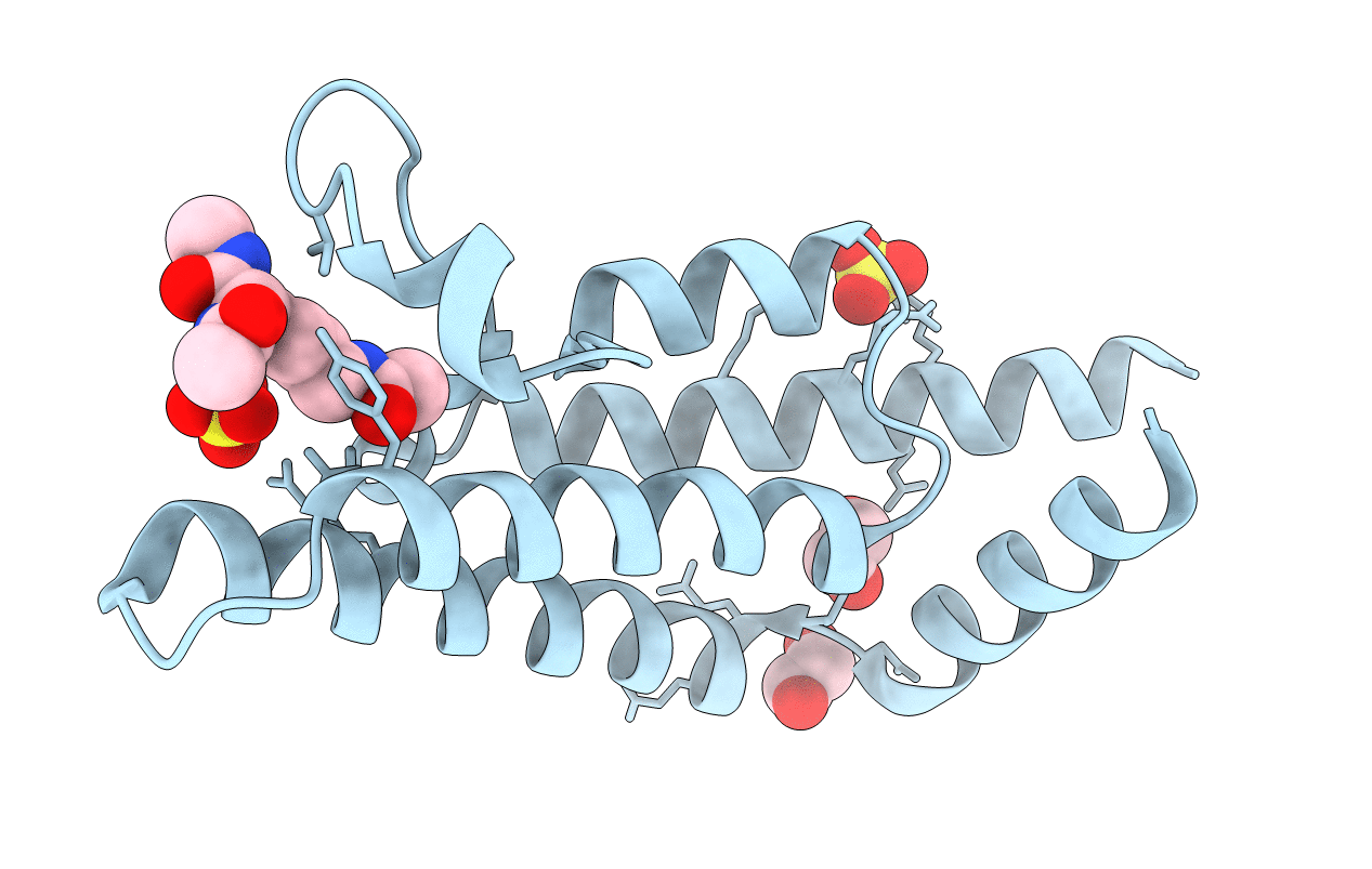 5A5N image