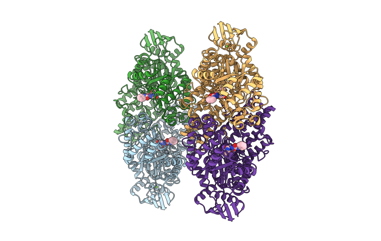 5A6B image