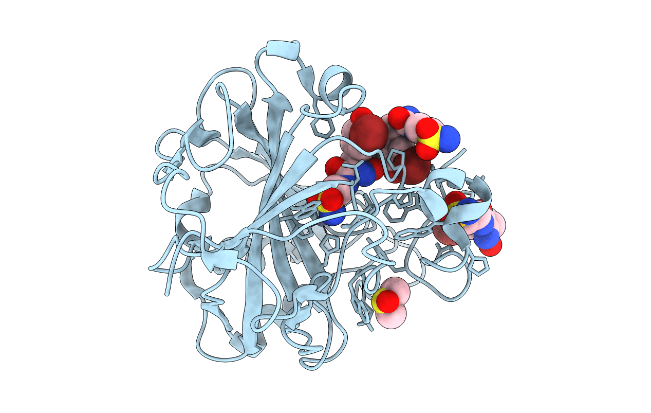 5A6H image
