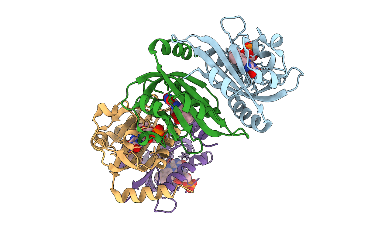 5A8B image