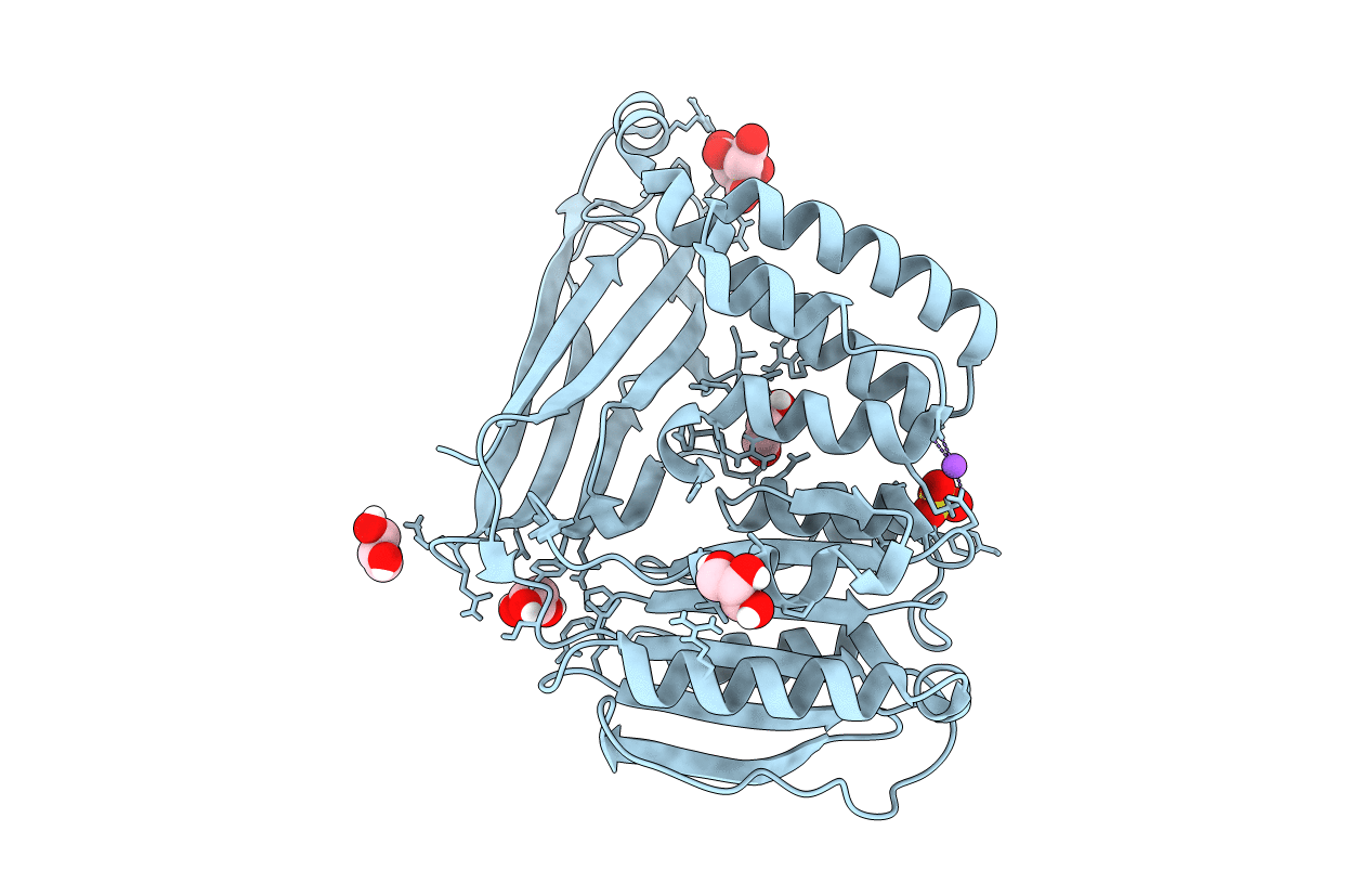 5A8J image