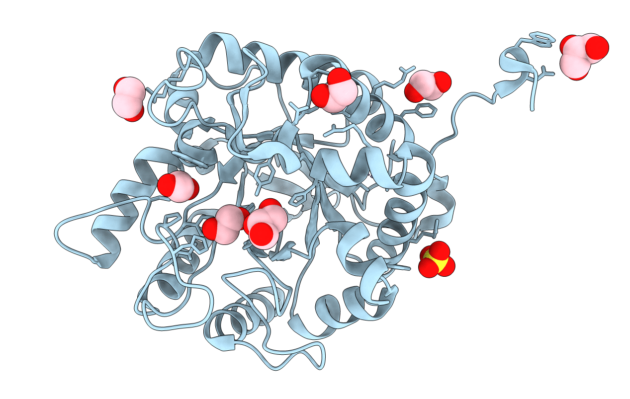 5A8N image