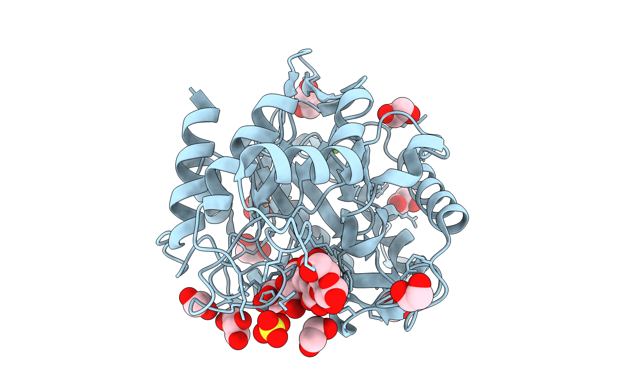 5A8P image