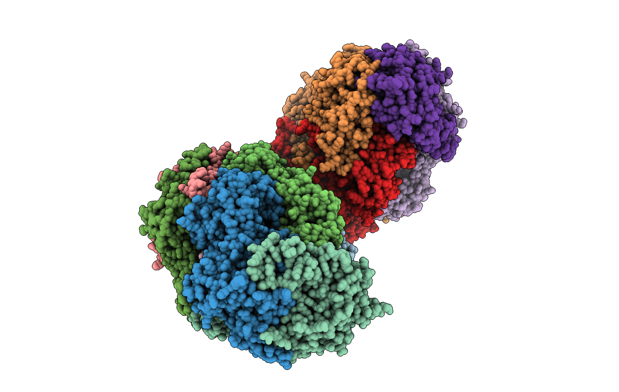 5A8W image