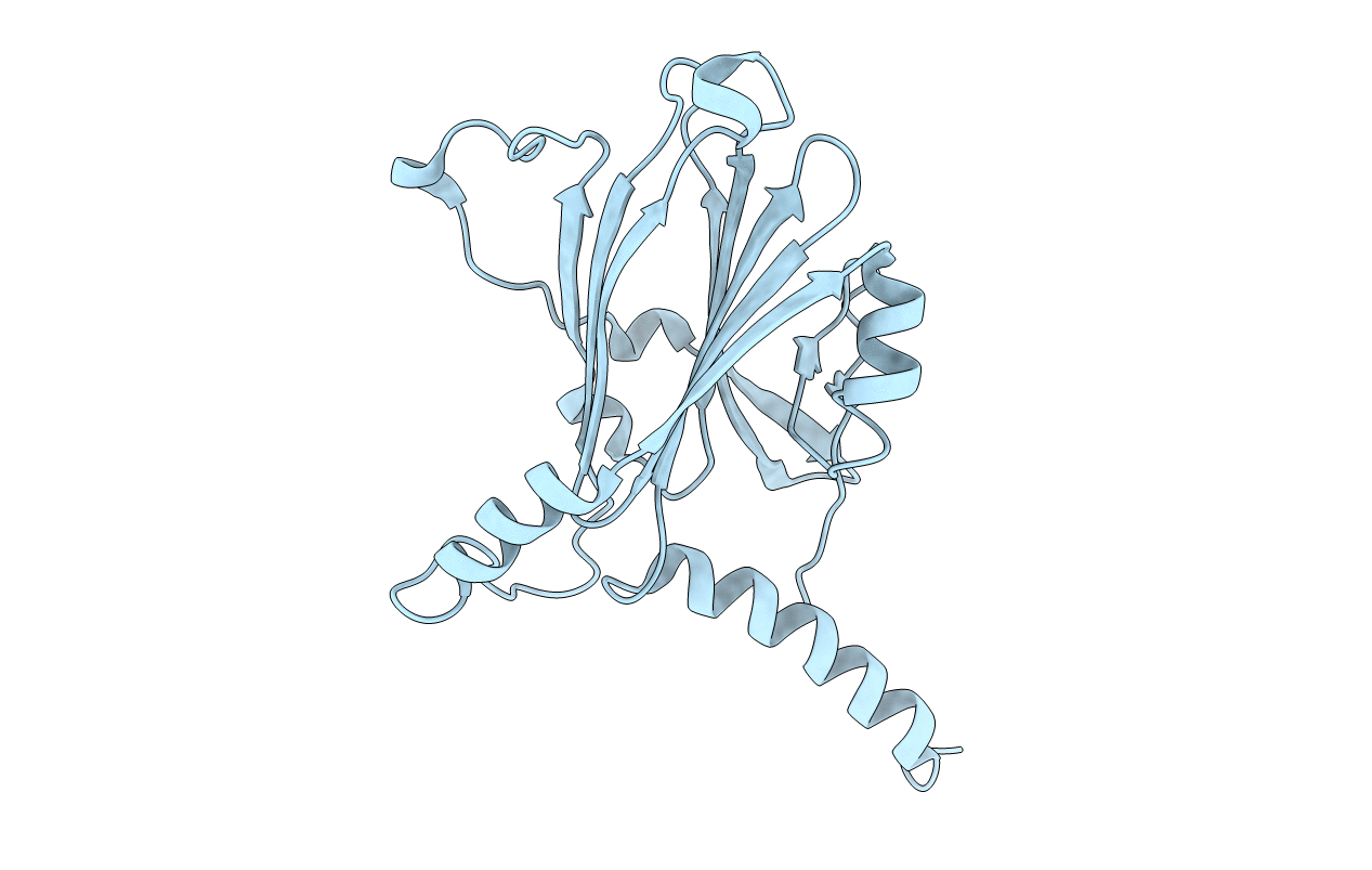5A9B image